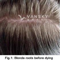 230824162822_Hair-Before Dying-s.jpg